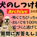 犬のしつけ相談ライブ☆ゲリラライブ 【2023/11/29】