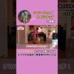 【犬の芸】超絶可愛い♡「サイドステップ」の教え方3ステップ。愛犬の寝たきり予防にも！！ #shrots