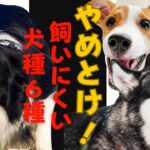 【マジでやめとけ！】意外と飼いにくい犬種6種とその理由