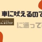 『犬の学校わんstepに通ってみた』シリーズ　車に吠えるのでわんstepに通ってみた！