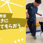 【犬のしつけ教室】歯磨きや投薬方法などトレーニングの様子をご紹介＠リベ大どうぶつ病院