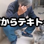 しつけがうまくいかない！それ当たり前です。思い詰めないで。～日常からテキトーに～