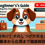 【初心者向け】犬のしつけ方完全ガイド！〜基本から応用まで徹底解説〜