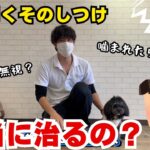 【犬のしつけ】よく聞く無視は本当に必要？