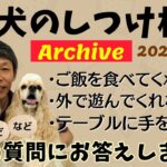 犬のしつけ相談ライブ☆ゲリラライブ 【アーカイブ 2023/12/16】