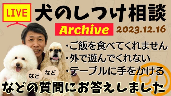 犬のしつけ相談ライブ☆ゲリラライブ 【アーカイブ 2023/12/16】