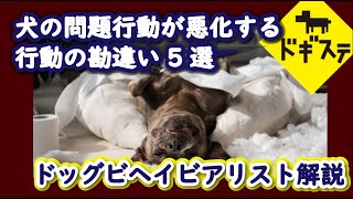 犬の問題行動が悪化する行動の勘違い5選 ：DOGGY STATION Vol./犬のしつけ・問題行動・犬の心理学・犬の行動学・ドッグビヘイビアリスト