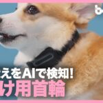 無駄吠えをAIで検知？ 犬のしつけ用首輪「HushPuppy」