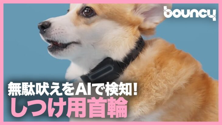 無駄吠えをAIで検知？ 犬のしつけ用首輪「HushPuppy」