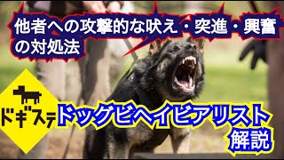 他人や他犬に対して攻撃的・突進し吠える，噛むなどの攻撃関連行動の行動療法について解説：DOGGY STATION Vol.＊＊＊/犬のしつけ・問題行動・犬の心理学・犬の行動学・ドッグビヘイビアリスト