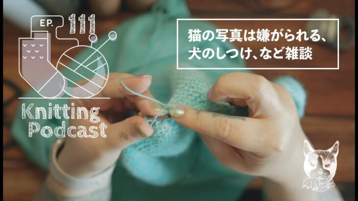 犬のしつけについてなど雑談しながらテストニット｜Knitting Podcast EP.