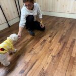 MIX犬の”うゆちゃん”と手に”タッチ”に挑戦！