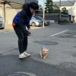 MIX犬の”エールくん”と散歩トレーニング！