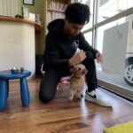 MIX犬のりくくん”と足と足の間で落ち着く練習！