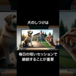 犬の「しつけ時期の」雑学　#shorts #犬 #雑学 #犬の雑学