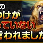 愛犬のしつけがなっていないと言われました…