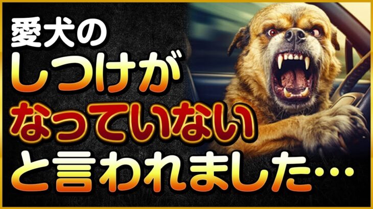 愛犬のしつけがなっていないと言われました…