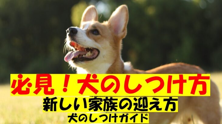 犬の飼い方　しつけの方法