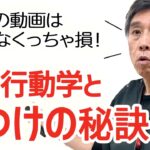 【重要】犬の行動学としつけの秘訣〜しつけはワクチンと同じように命を守る