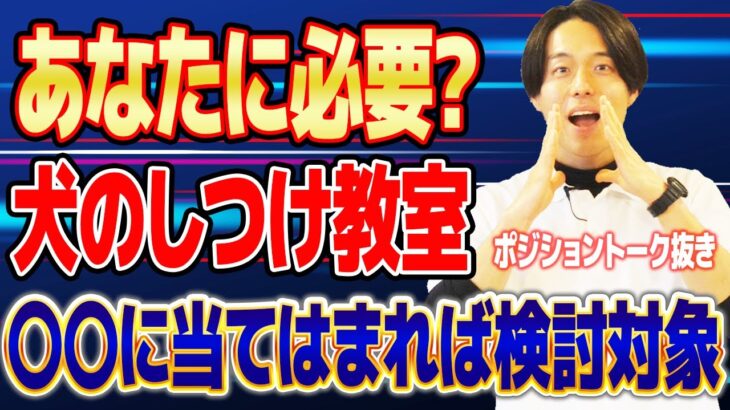 【必要?不要?】預かりしつけ教室ってどんなもの？メリット・デメリットも解説します。