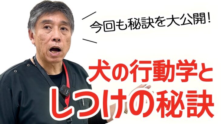 【重要】犬の行動学としつけの秘訣〜しつけはワクチンと同じように命を守る【後編】