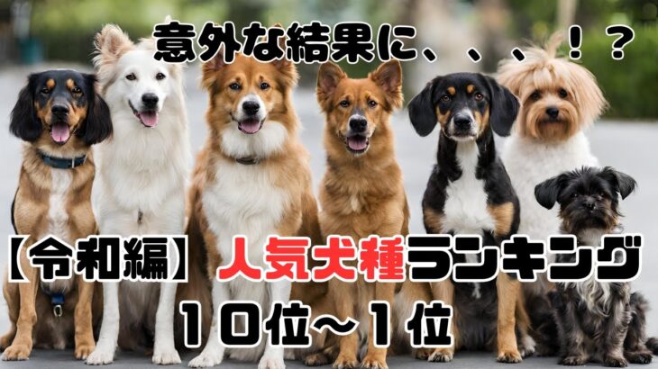 【令和編】人気犬種ランキング１０位～１位の発表と解説！！