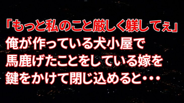 【修羅場】嫁「もっと私のこと厳しく躾してぇ」俺が作っている犬小屋で馬鹿げたことをしている嫁を鍵をかけて閉じ込めると・・・【スカッとする話】