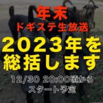 ドギステ年末ライブ /犬のしつけ・問題行動・犬の心理学・犬の行動学・ドッグビヘイビアリスト