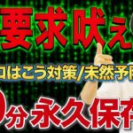 【保存版】要求吠えしつけ法をプロが徹底解説します！