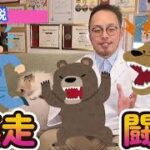 【行動学】犬が吠えたり逃げだす理由【闘争逃走反応】