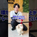 飼い犬とのコミュニケーションって大事ですよね？#犬 #トレーニング #しつけ