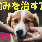 【犬の甘噛み】問題を解決する方法