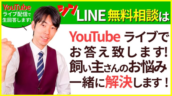 【011】LINE無料相談にプロドッグトレーナーが直接返信枠