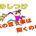 家族に攻撃をする犬の電話しつけ相談1