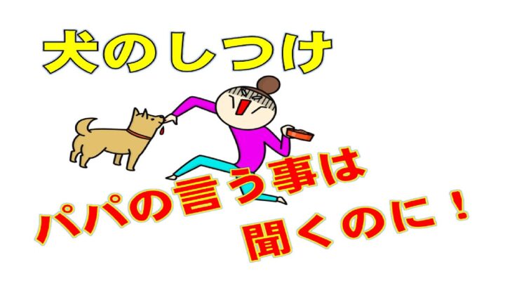 家族に攻撃をする犬の電話しつけ相談1