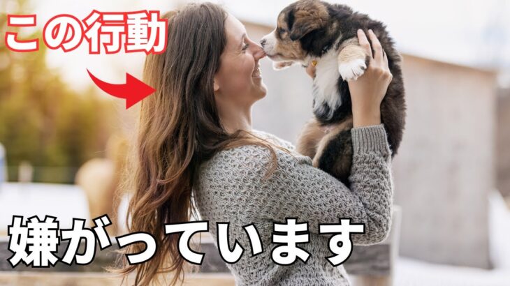 【徹底解説】犬がされたら嫌なこと10選