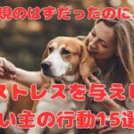 愛情表現のはずが犬にストレスを与える飼い主の行動15選‼