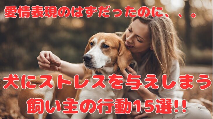 愛情表現のはずが犬にストレスを与える飼い主の行動15選‼