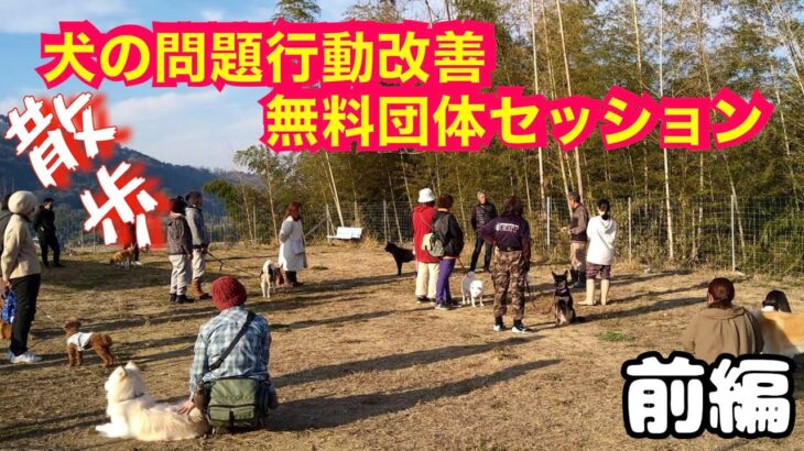 【散歩トレーニング】施設団体セッション（前編）2023年12月30日 @pochipapa