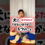 犬に〈好きなだけ〉させない方がいい6つのこと#犬#犬のしつけ#犬のいる暮らし