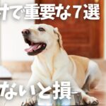 犬のしつけで飼い主が知っておかないと損する7選