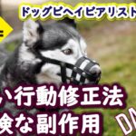 ヤバい行動修正法の危険な副作用 ：DOGGY STATION Vol.＊＊＊/犬のしつけ・問題行動・犬の心理学・犬の行動学・ドッグビヘイビアリスト