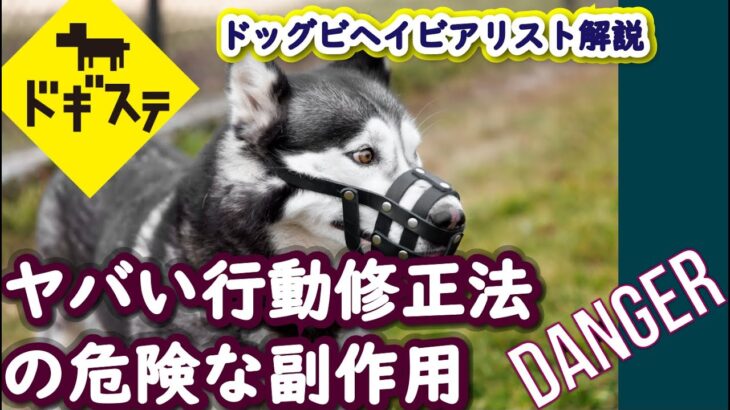 ヤバい行動修正法の危険な副作用 ：DOGGY STATION Vol.＊＊＊/犬のしつけ・問題行動・犬の心理学・犬の行動学・ドッグビヘイビアリスト