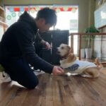 MIX犬の”かむちゃん”と”バーン”の練習！