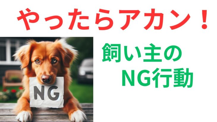 【必見！】犬にストレスを与える飼い主のNG行動とは？犬の幸せ度を高めるためにやるべきこととは！