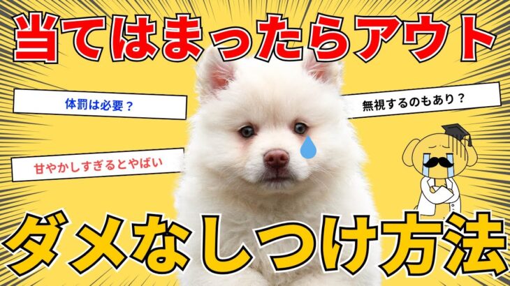 絶対NG！愛犬のダメなしつけ方法