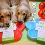 犬の食事を楽しく♪犬ごはん夢中にさせる早食い防止皿【犬 しつけ】Slow Feeder