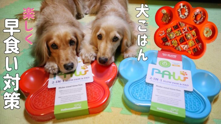 犬の食事を楽しく♪犬ごはん夢中にさせる早食い防止皿【犬 しつけ】Slow Feeder