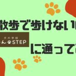 『犬の学校わんstepに通ってみた』シリーズ　お散歩で歩かないのでわんstepに通ってみた！