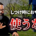 【犬のしつけ】おやつを使わずにトレーニングする理由が当たり前ずぎて逆に目から鱗だった